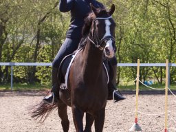 IMG_1697_web